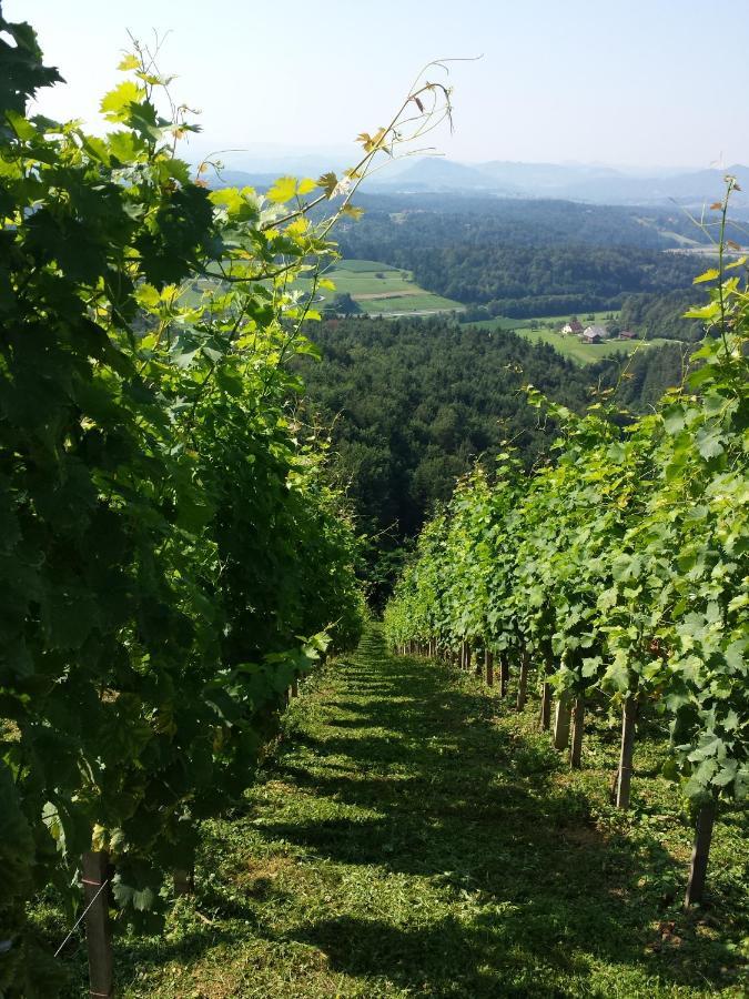 Vineyard Paradise Senica Dramlje 外观 照片
